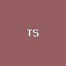 TSMC (bStocks Tokenized Stock)